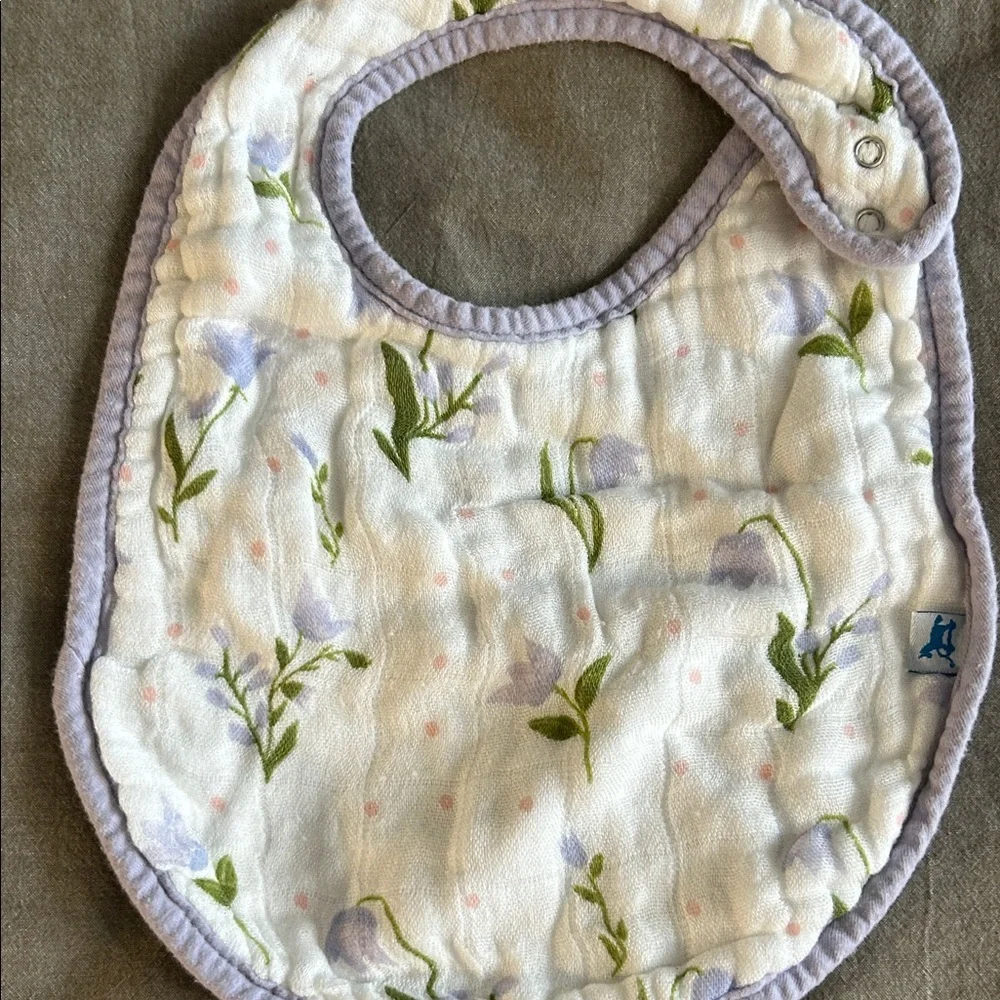 BIBS